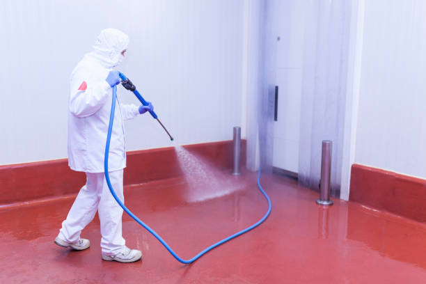 Best Rust Removal  in Rancho Viejo, TX